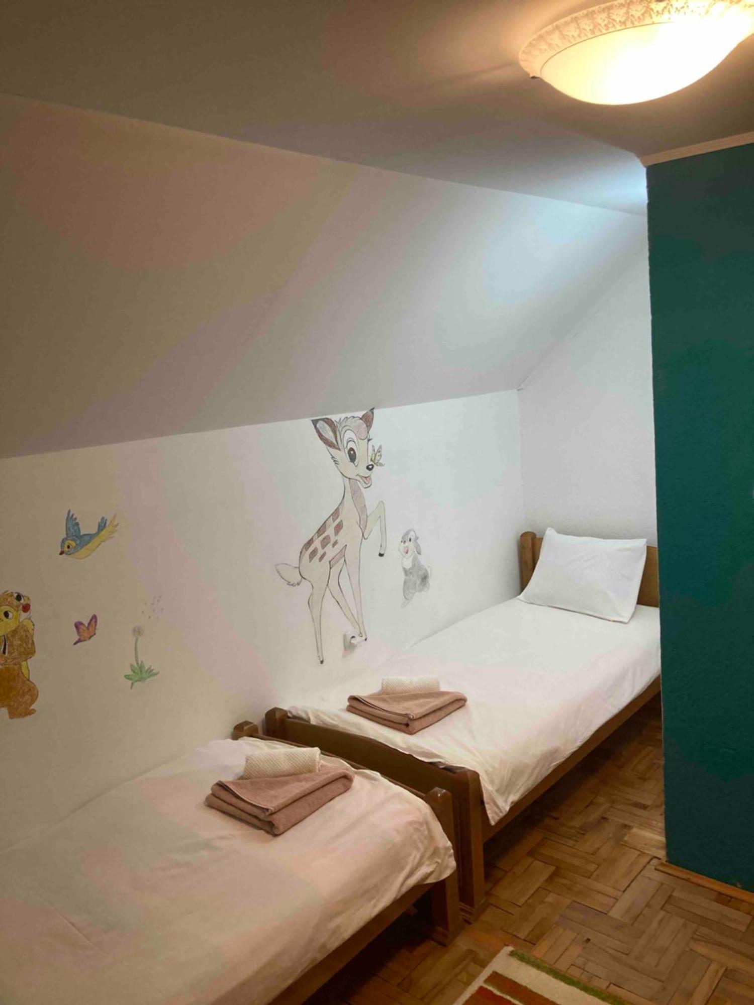 Guest House Nena Zabljak  Luaran gambar
